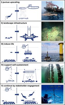Five golden principles to advance marine reef restoration by linking science and industry